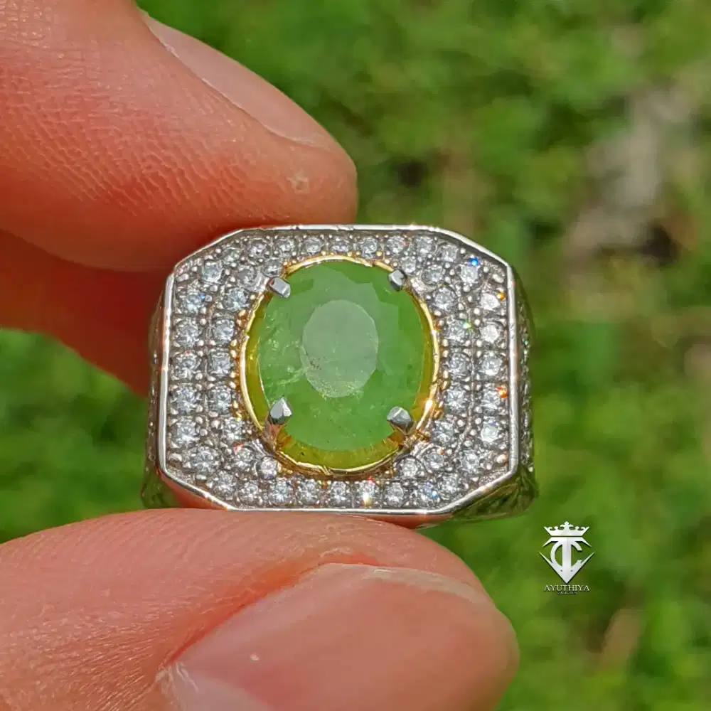 Batu Permata Natural Tsavorite Garnet Tanzania 3.58 Ct NTE CGL Memo