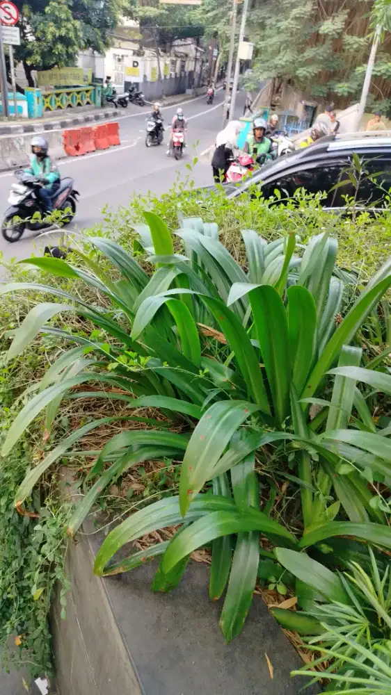 Cari kerja yang boleh ajak anak