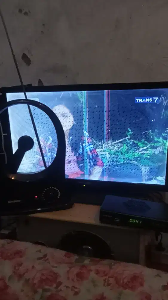 tv led shanghong 24inc + antena krisbow + sedbox edvance