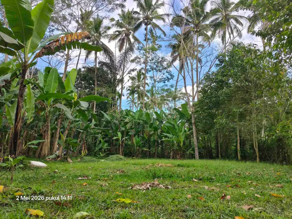 Tanah Zona Kuning 30 Menit dari Central Ubud Bali - Thumbnail 4