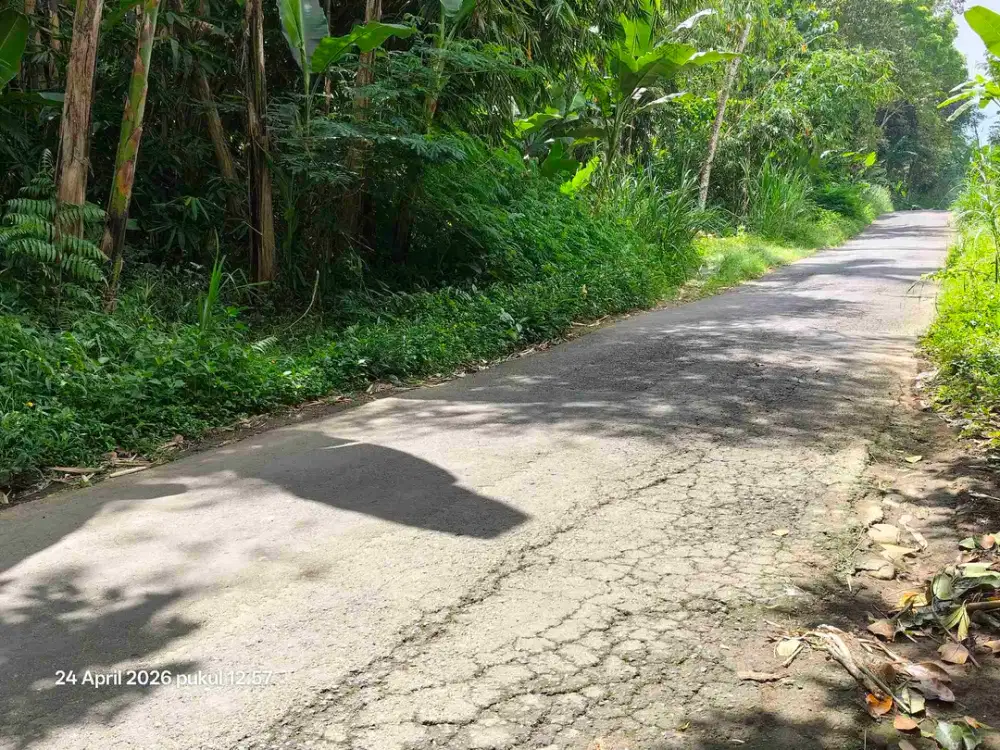Tanah Zona Kuning 30 Menit dari Central Ubud Bali - Thumbnail 7