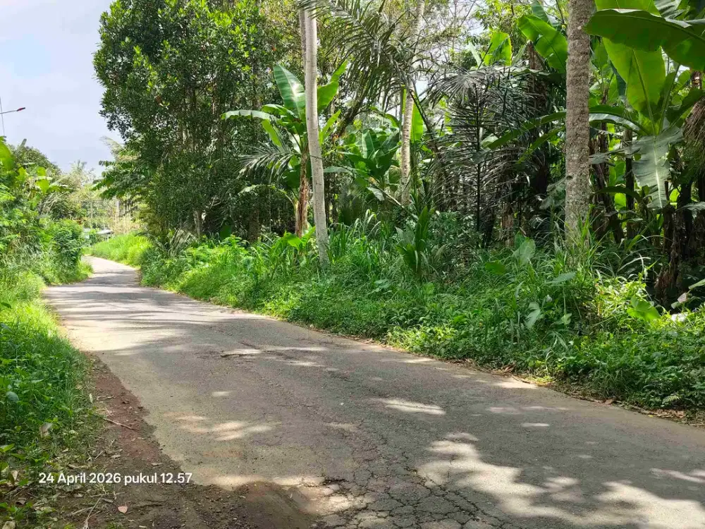 Tanah Zona Kuning 30 Menit dari Central Ubud Bali - Thumbnail 6