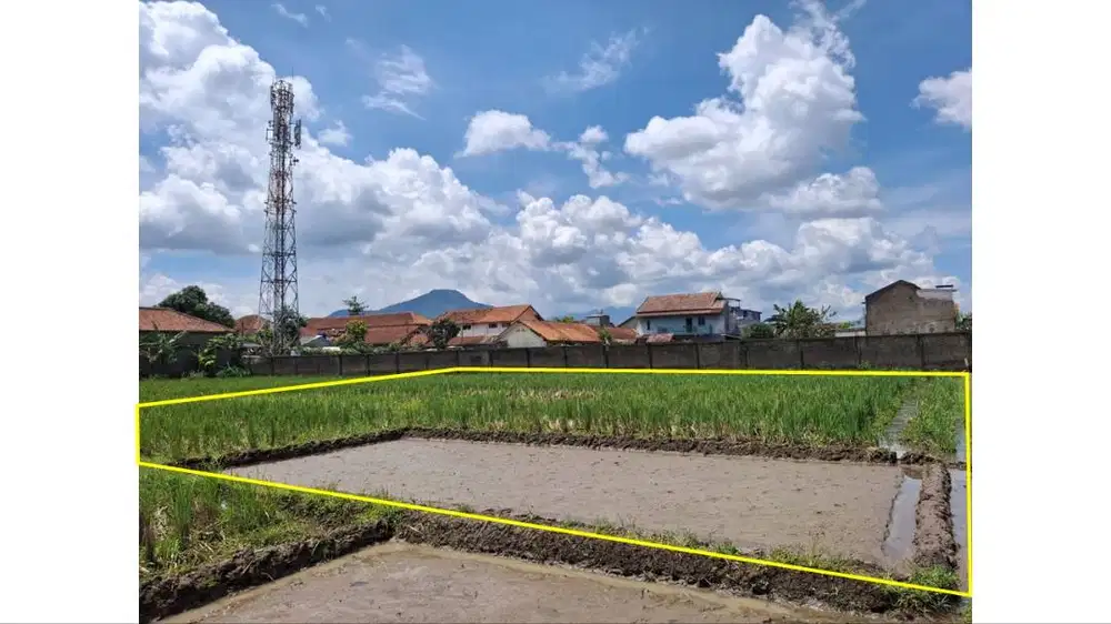 Dijual Sawah Produktif di Lokasi Strategis (Pusat Kota Rancaekek)