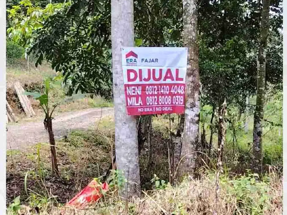 Dijual tanah 17 hektar