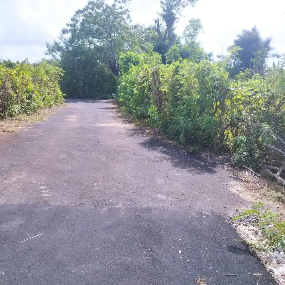 53 Are Komersil Pantai Pandawa
