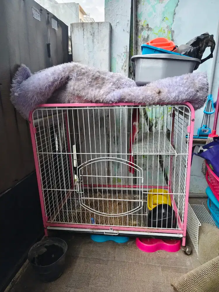 Jual kandang kucing