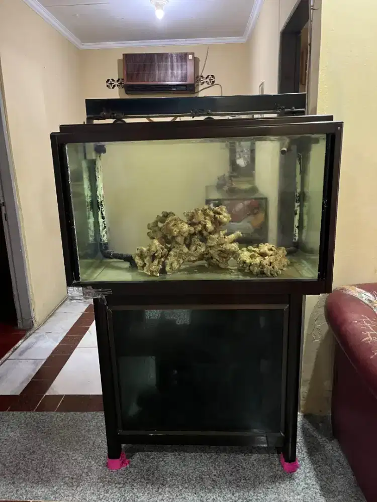 Akuarium laut stainless