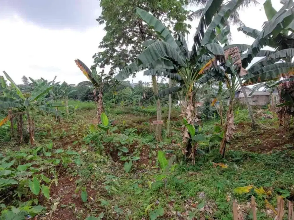 Tanah Kavling untuk pemancingan kos2 an harga dibawah njop