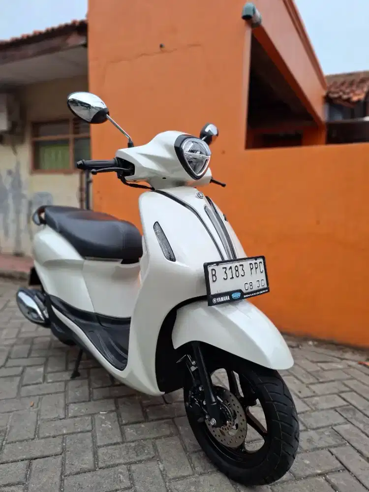 Yamaha grand filano 2025 Super Mulus