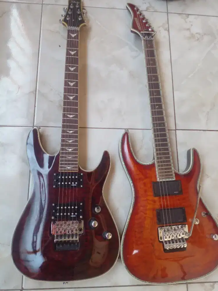 Gitar schecter dan fernandes kolektor item