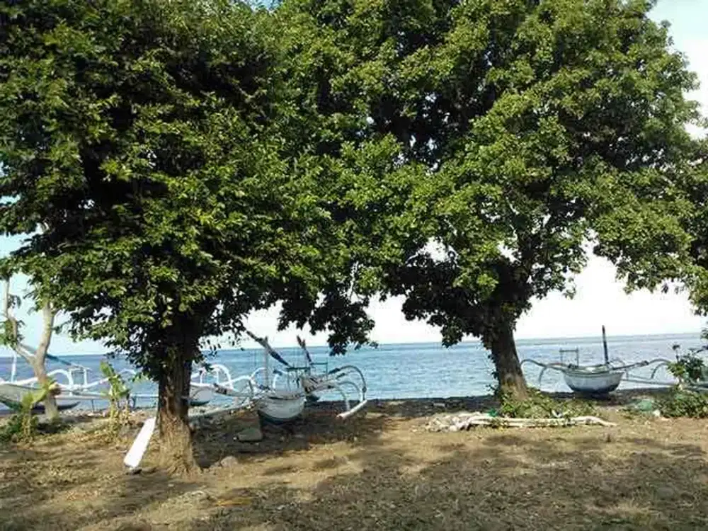 Tanah Beach Front Amed Bali