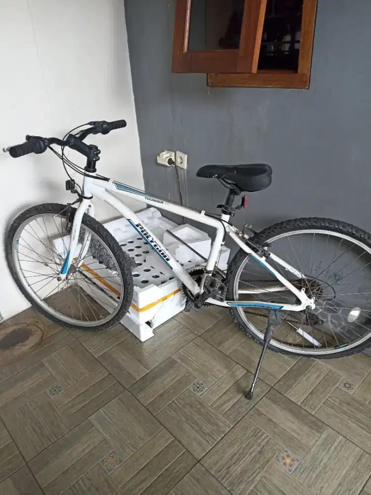 Jual Sepeda Polygon Thunder 100