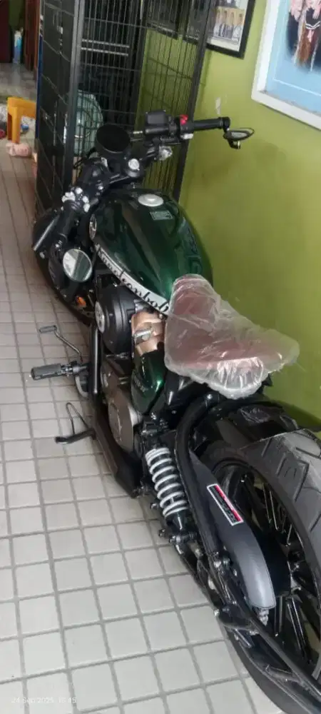 Napoleon Bob 250