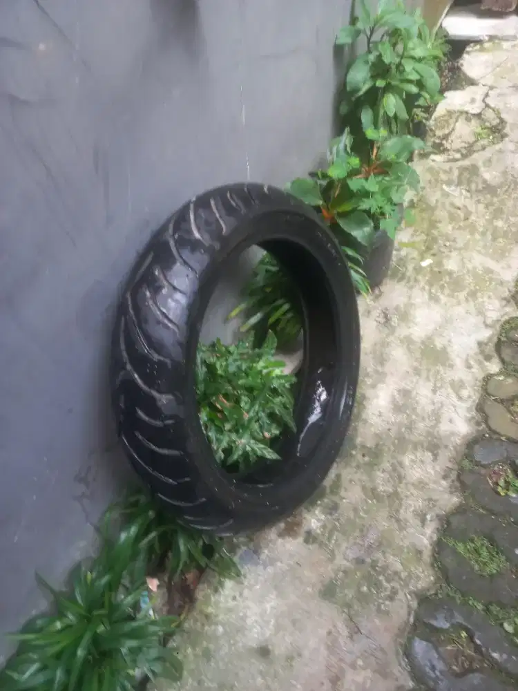 Ban R15 Xmax Adv Vespa Belakang