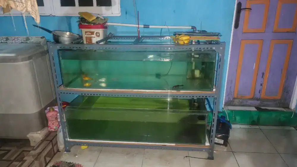 Dijual Aquarium
