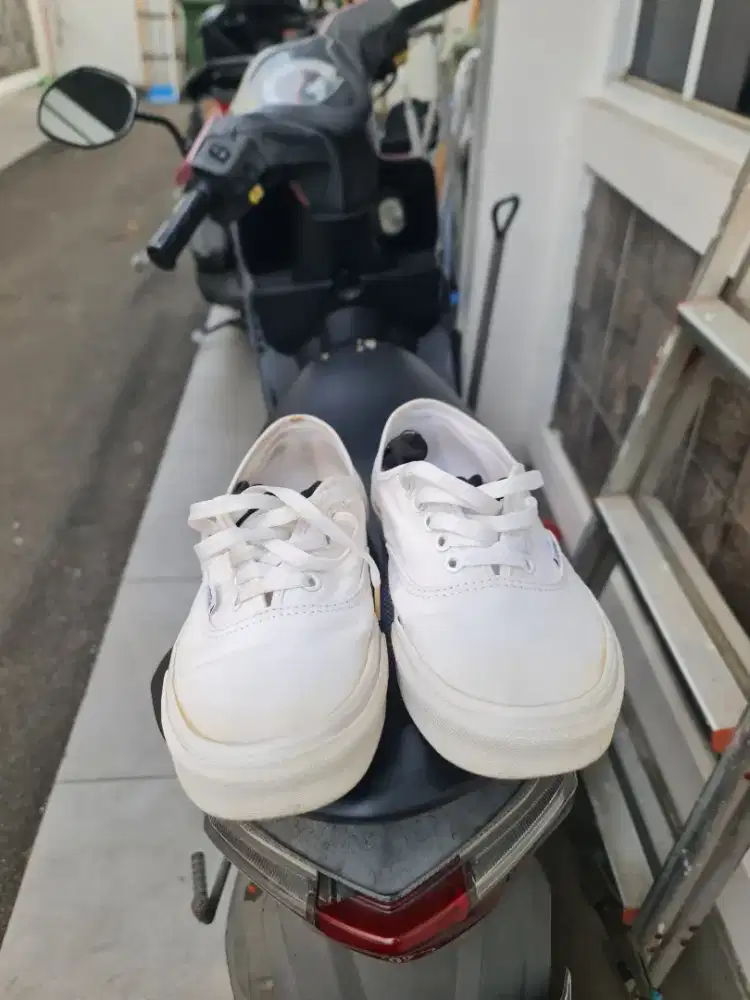 Vans true white