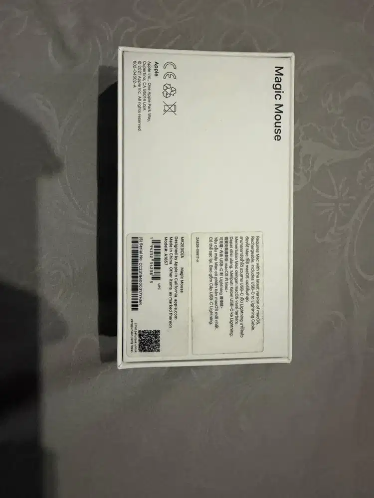 Magic Mouse (Apple)