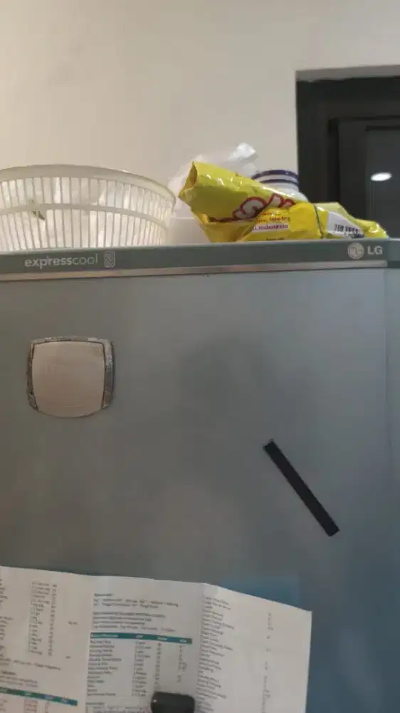 Kulkas LG express cool 2 pintu