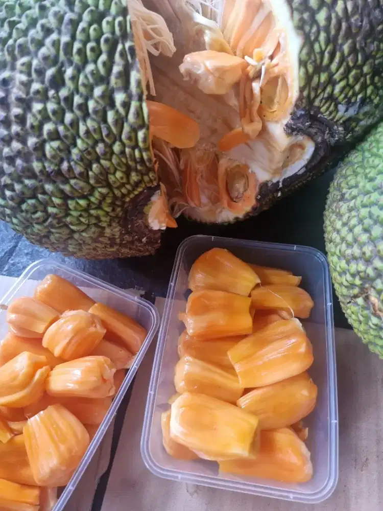 Dibutuhkan Tenaga Kupas Buah Harian 3 Jam saja dapat 250rb