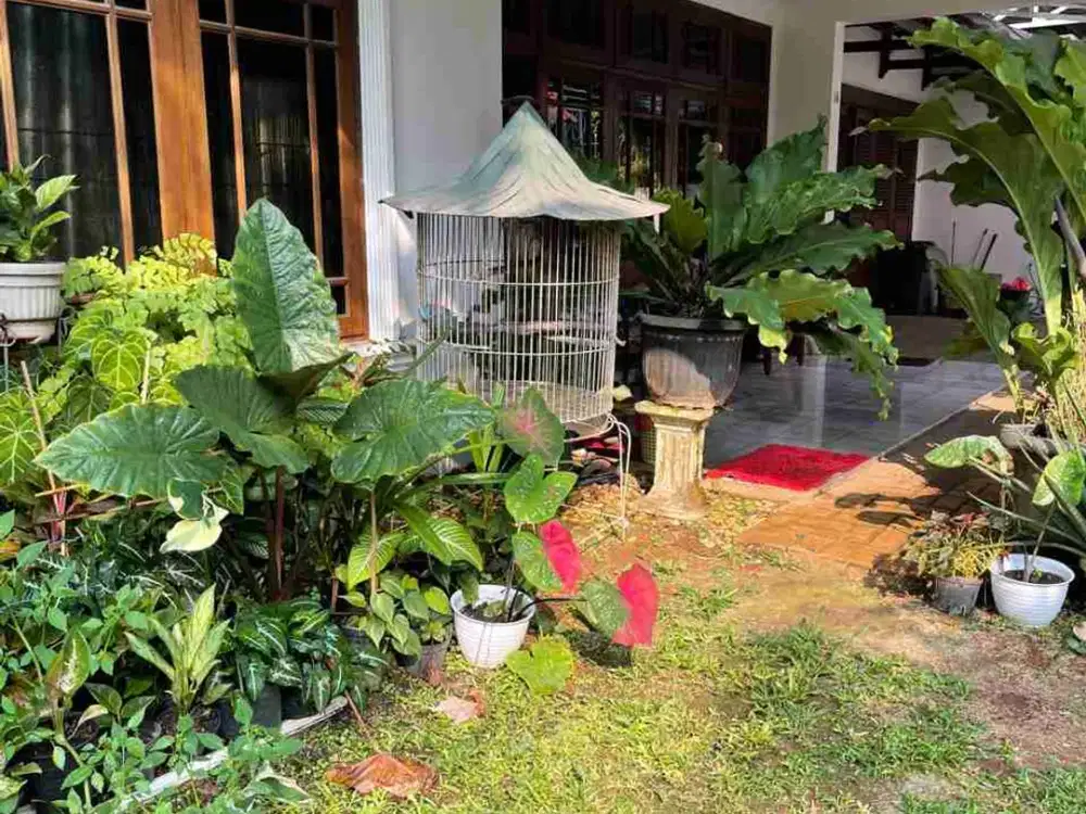 rumah 3 kamar, di Jl.Perintis, Pondok Cabe Ilir