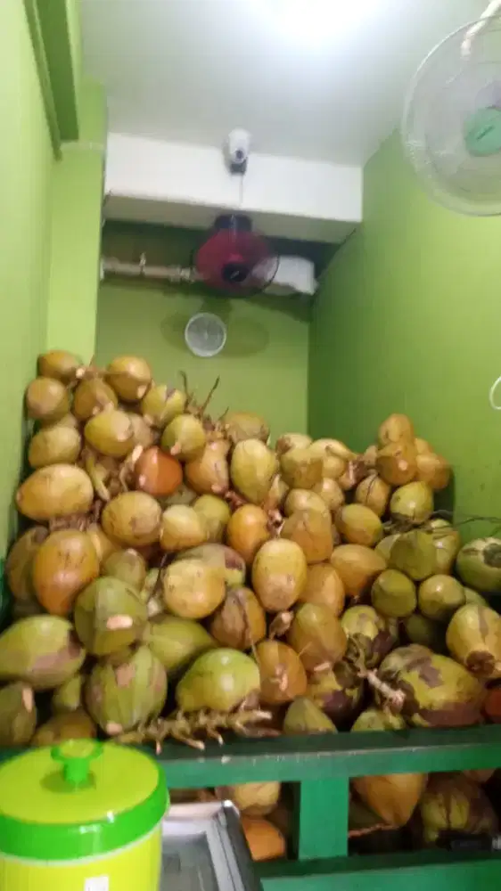 Dicari Petani Kelapa Muda dan Kelapa Hijau