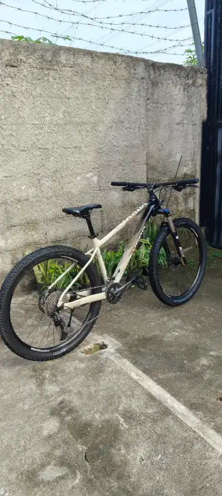 Polygon Xtrada 6 2021