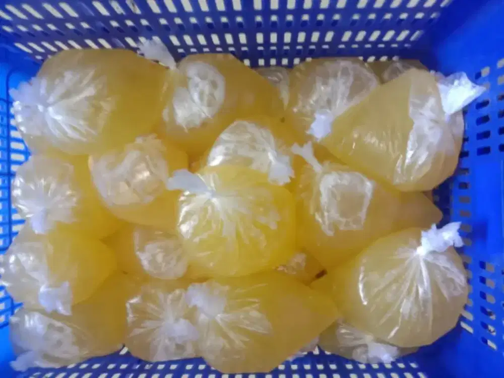 Putih Telur Fresh