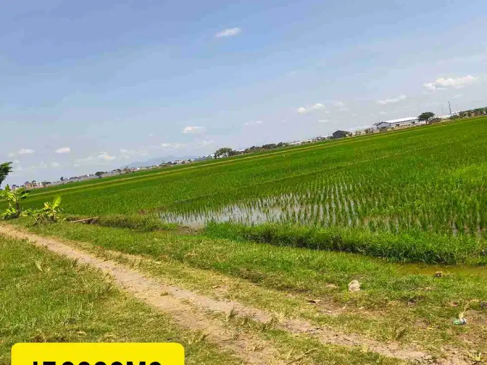 DIJUAL TANAH PARANGJORO GROGOL SUKOHARJO AREA PERUMAHAN DAN PERGUDANGAN