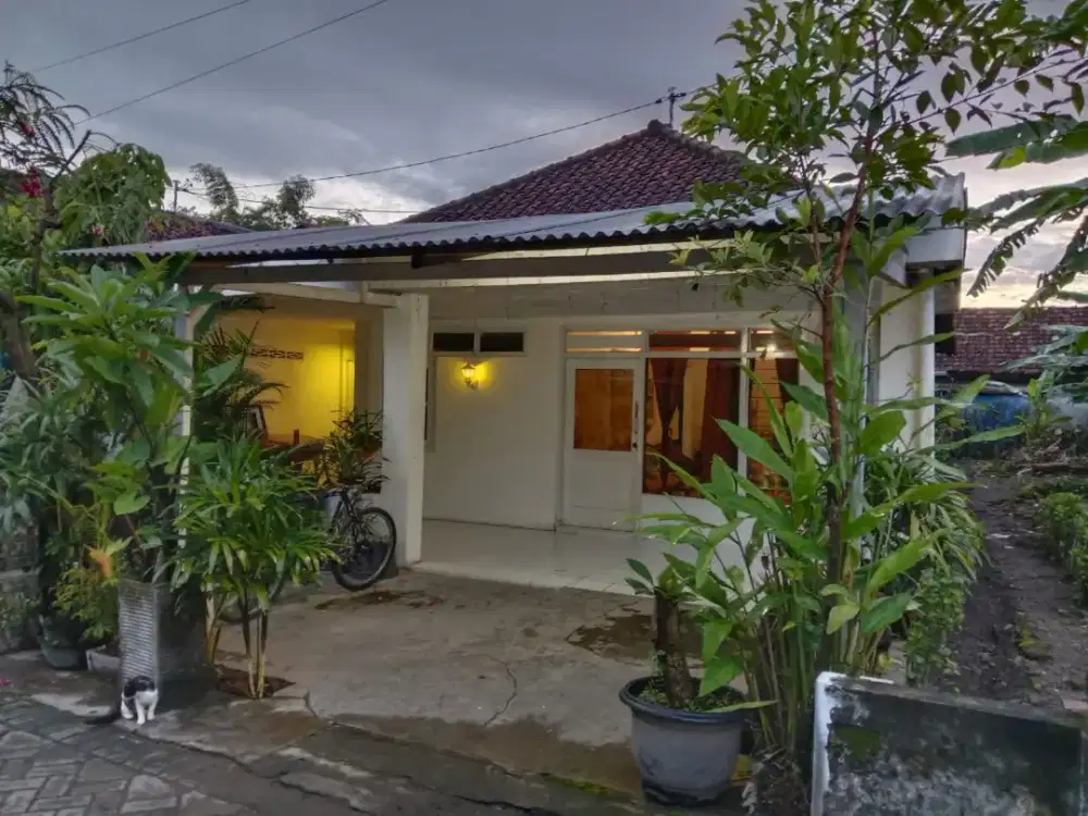Jual Rumah Murah Plumbon Gambang Siap Huni Sudah Full Renov BU