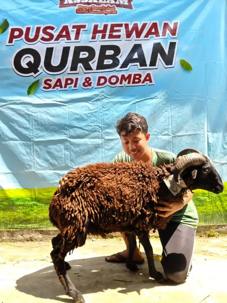Hewan Qurban Bandung