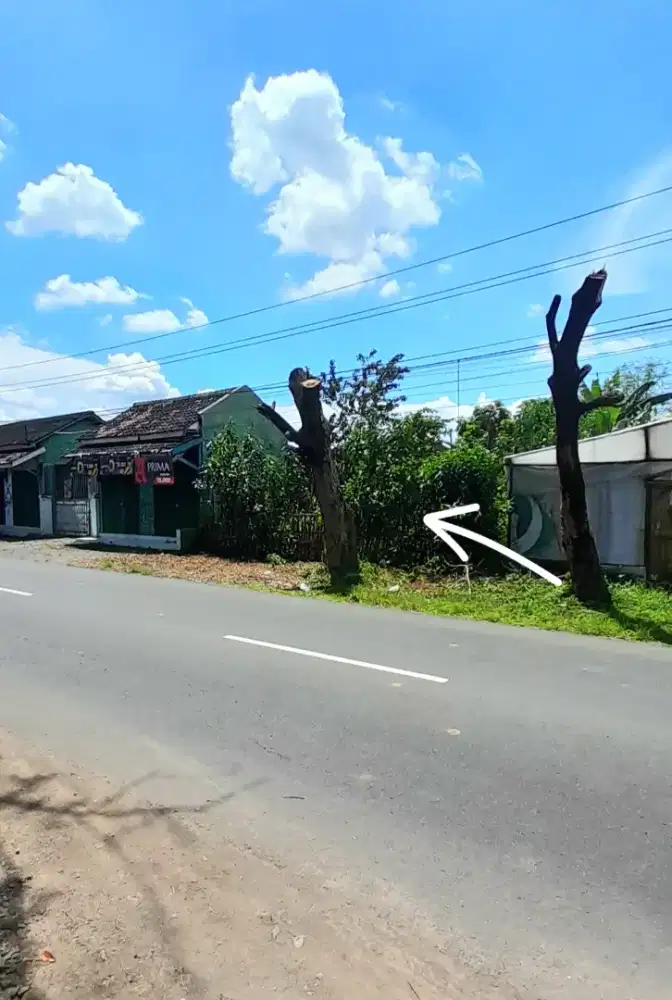 Pekarangan Tepi Jalan Raya