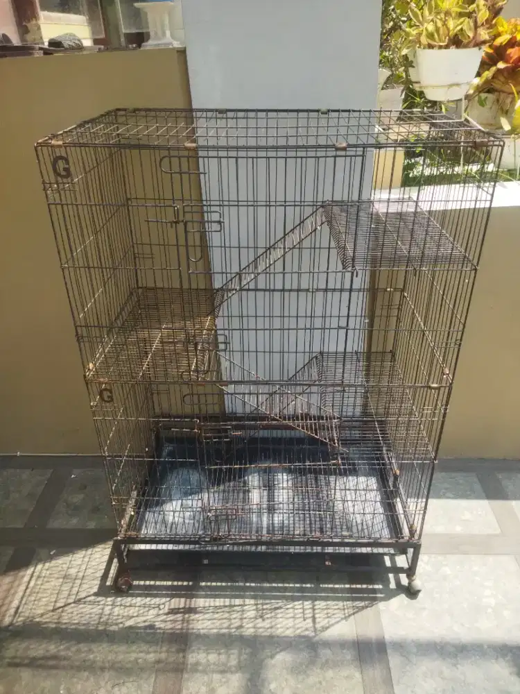 Kandang kucing jumbo second tingkat 3