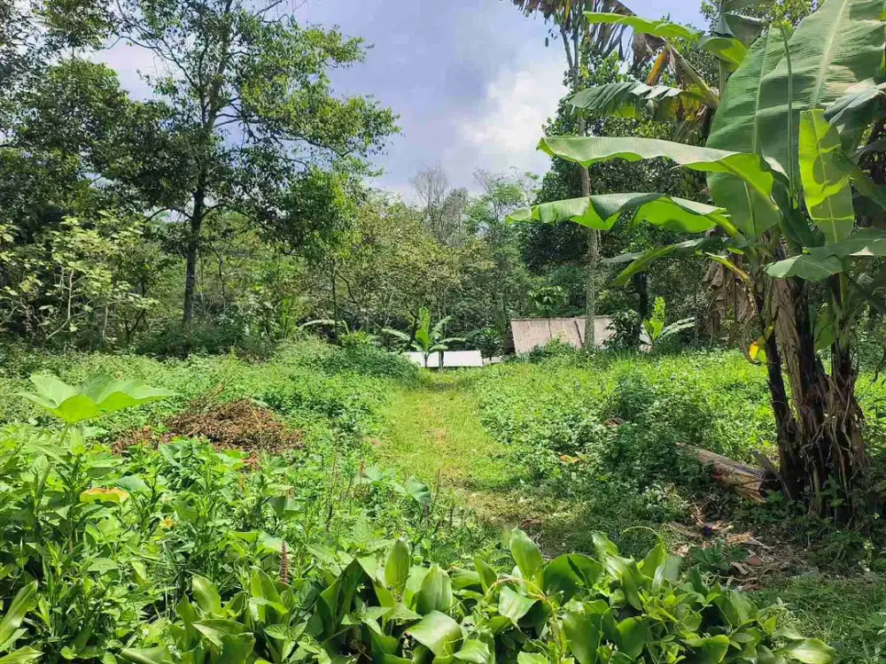 lahan untuk investasi daerah sejuk dkt destinasi wisata Ciater di subang