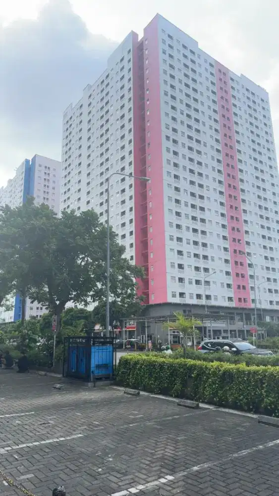 DIBUTUHKAN PEREMPUAN