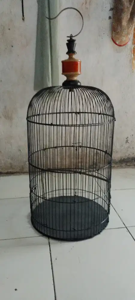 Jual sangkar lovebitd mulus