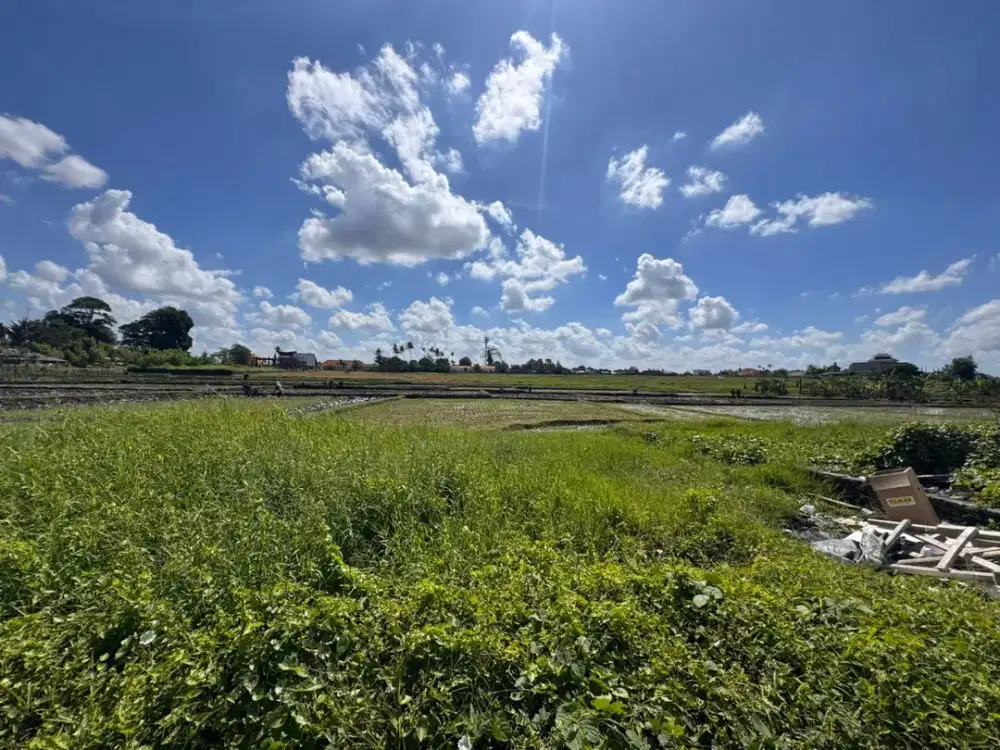 HOT DEAL TANAH CEMAGI – INVESTASI PREMIUM BALI