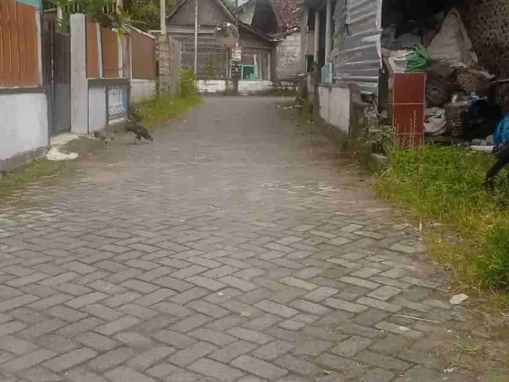 Jual Pekarangan dekat masjid Suciati