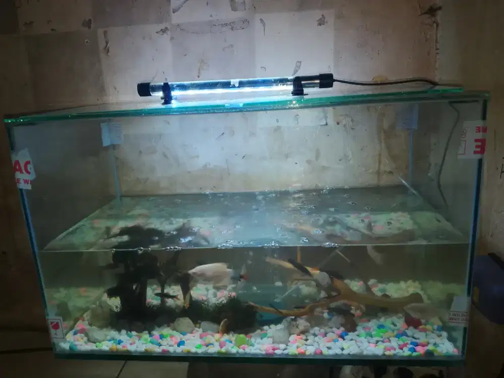 HIASAN AQUARIUM