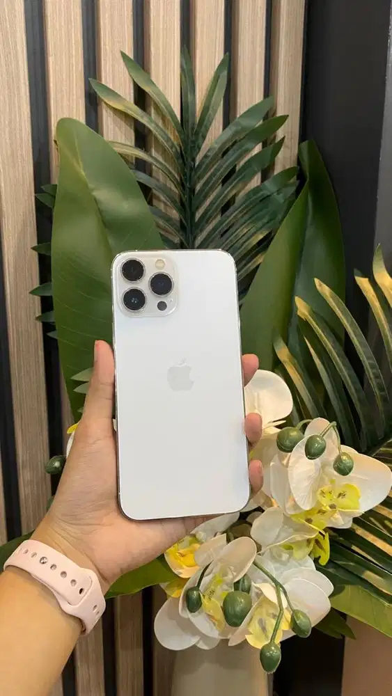 sec bc ip 13 pm 256gb silver