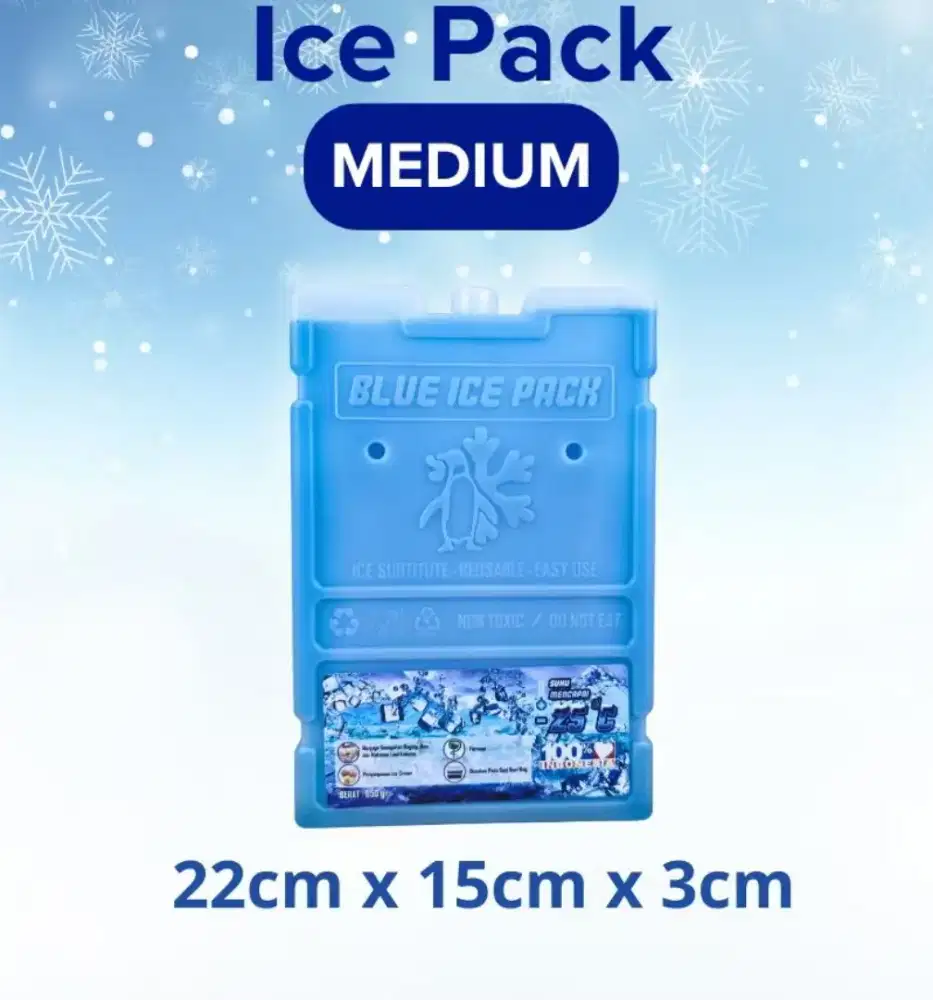 Ice Pack Cooler Box