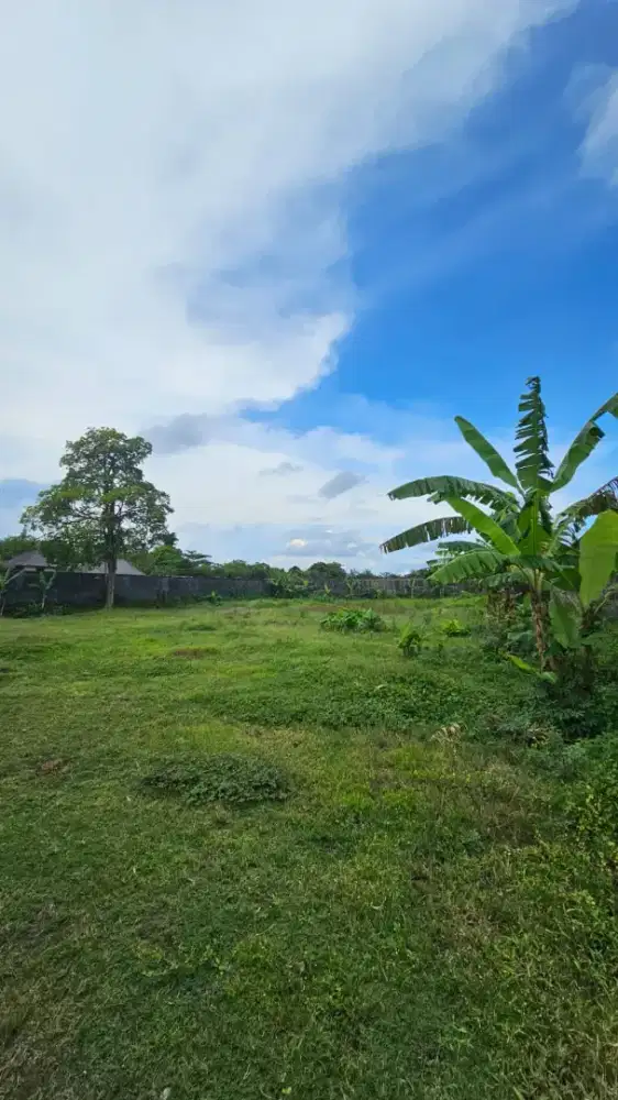BUC 25 Are Jalan Kaki ke Pantai Muaya Jimbaran