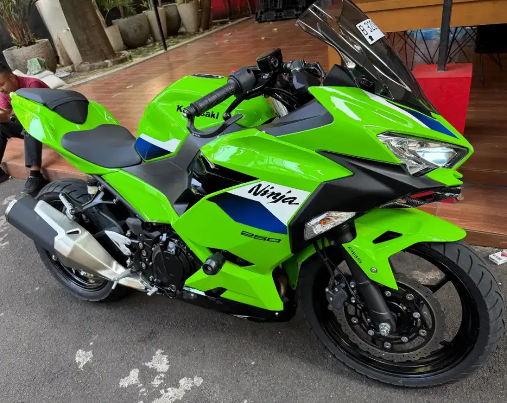 Ninja 250 ABS se