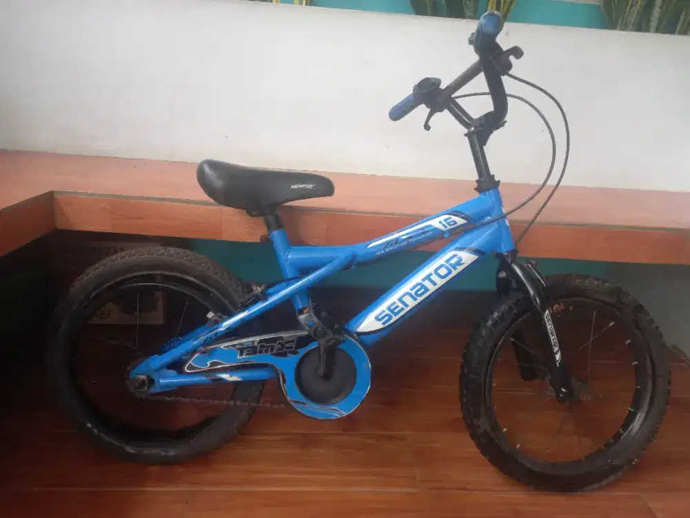 Murahhh bgttt yg sayang anak Sepeda anak BMX merk senator