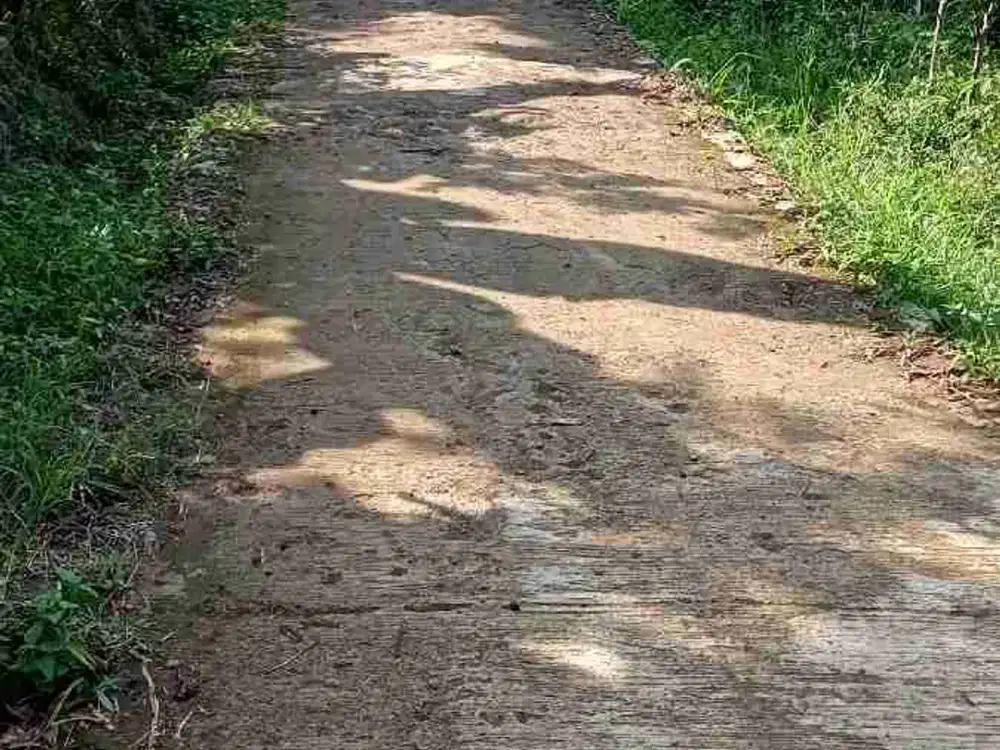 tanah darat kebun