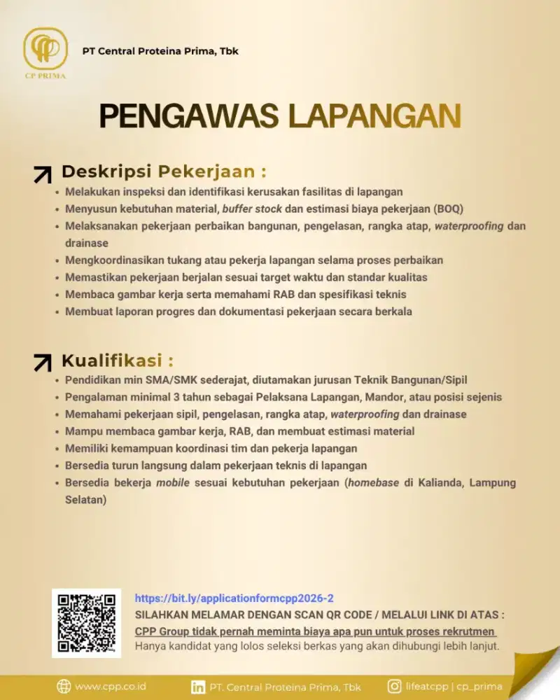 Pengawas lapangan