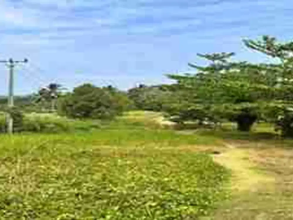 DIJUAL TANAH
