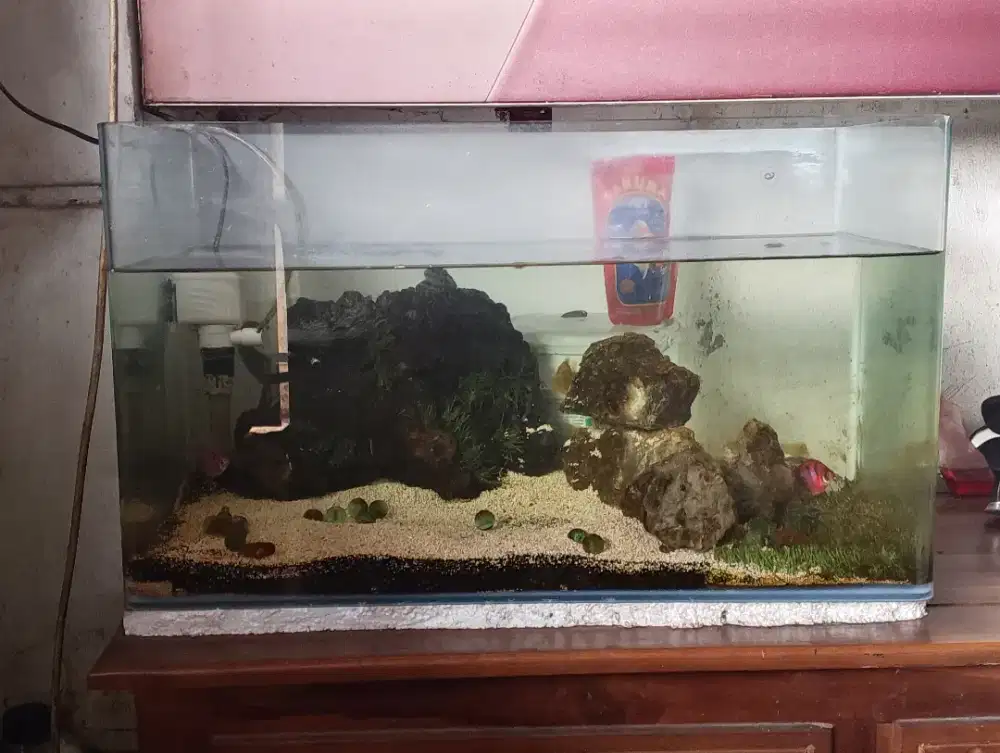 Akuarium 60x35x30