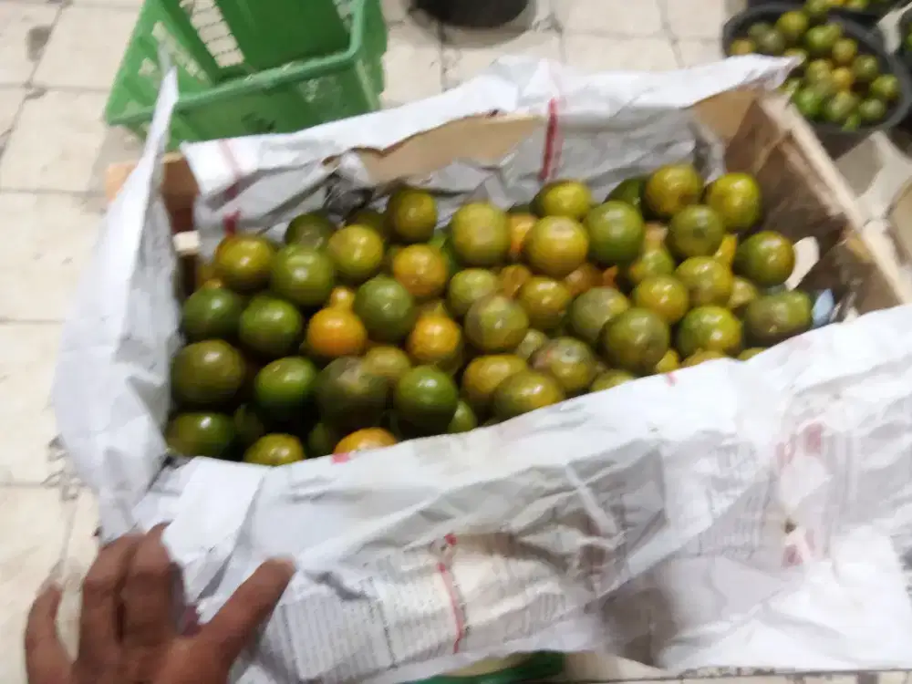 Supplier Buah MBG Yogyakarta