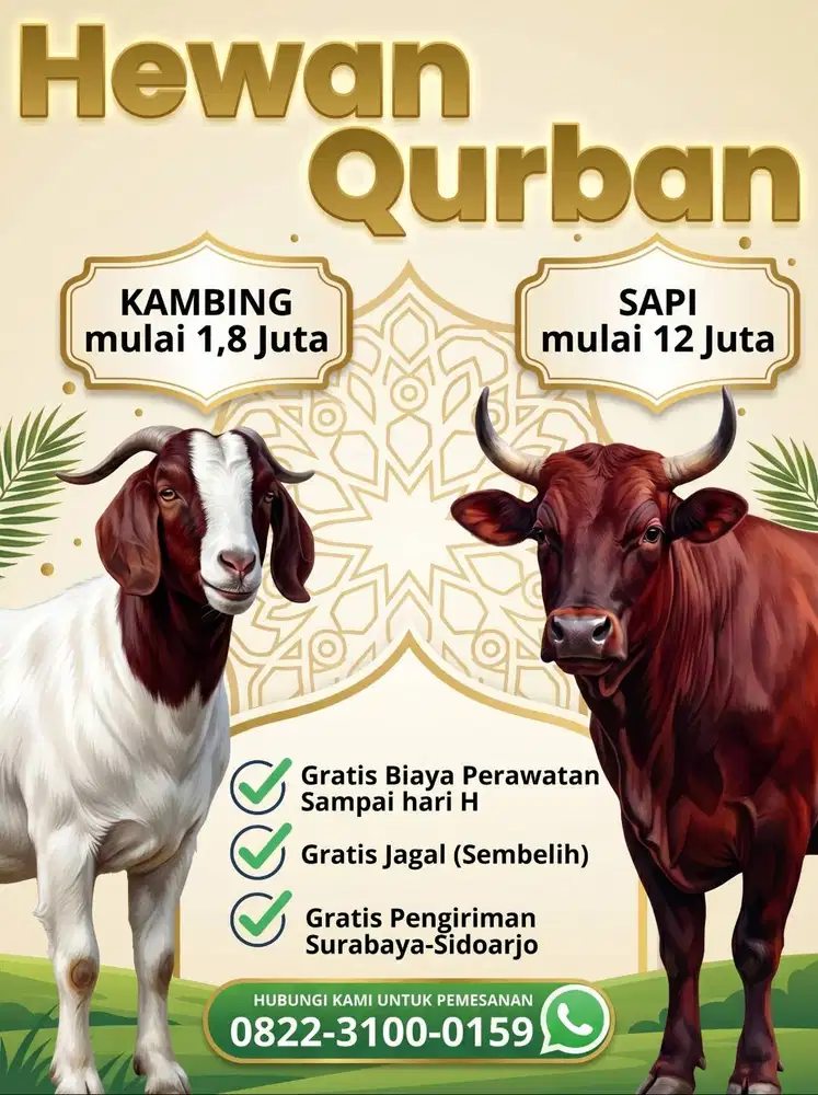 Sapi & Kambing Qurban Free Ongkir Area Sidoarjo Surabaya