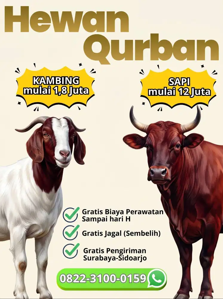 Hewan Qurban Sidoarjo 2026 - Siap Kirim Seluruh Surabaya Kambing Sapi